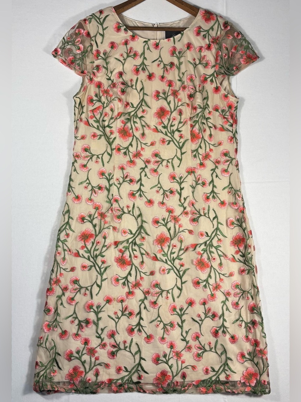 Adrianna Papell Women’s 12 Dress Cream with Sheer Pink & Green Floral Embroidery